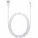 Cavo Apple da Lightning a USB (0,5 m)