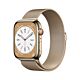 Apple Watch Serie 8 GPS + Cellular - Cassa in Acciaio Oro con Cinturino in Maglia Milanese Oro -  45mm